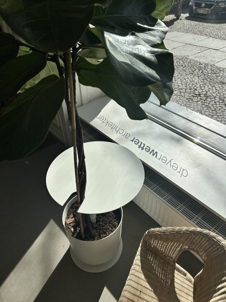 Pflanze und Korbstuhl im Sonnenlicht am Bürofenster mit dem Schriftzug Dreyer Wetter Architekten.